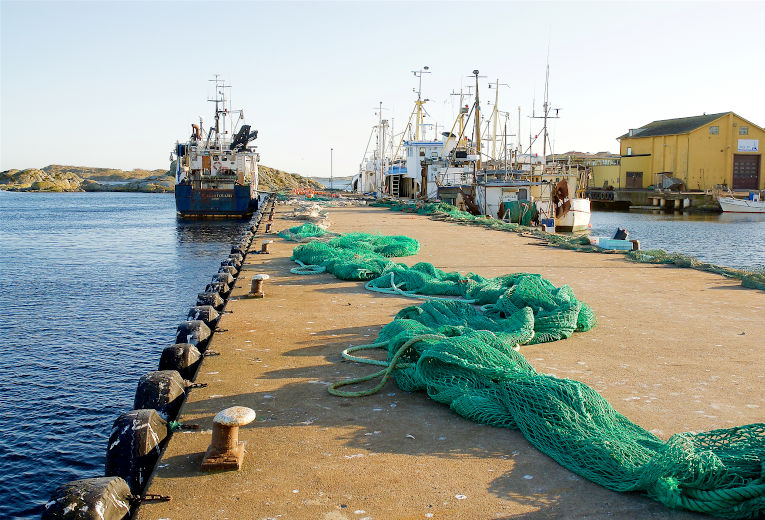 Långa fiskenät är placerade på en kaj där flera fiskebåtar ligger förtöjda. Foto.