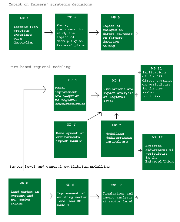 Figure 1. Structure of the workplan